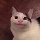PurrfectAim
